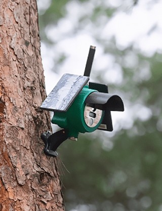 紅外探測器 紅外探測器