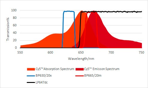 PCR光譜圖 PCR光譜圖