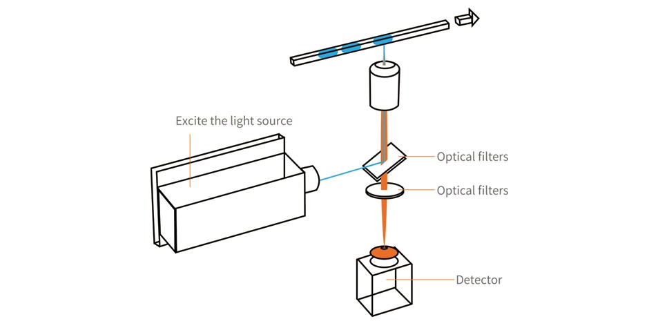 數字PCR光路圖 數字PCR光路圖