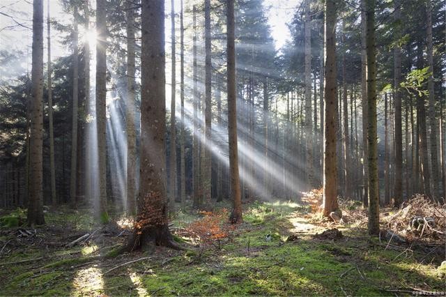 什么是負(fù)折射率？何為負(fù)折射率？