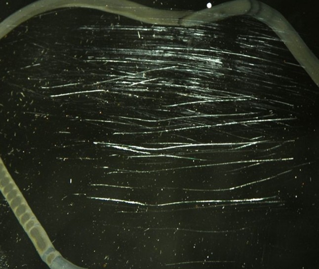 如何去掉透明有機玻璃制品的細小劃痕? 如何去掉透明有機玻璃制品的細小劃痕?