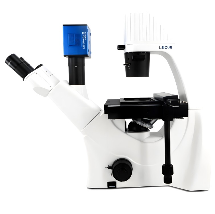 相差顯微鏡的光學元件應用與技術解析