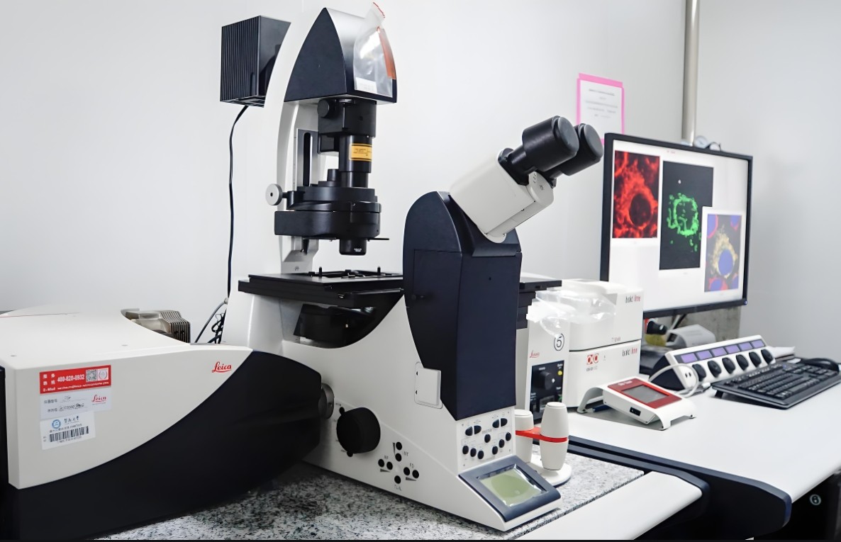 濾光片 激光共聚焦顯微鏡