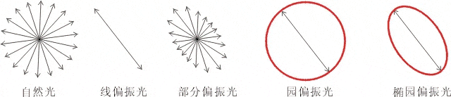 什么是偏振光？偏振光是如何完成檢測的？